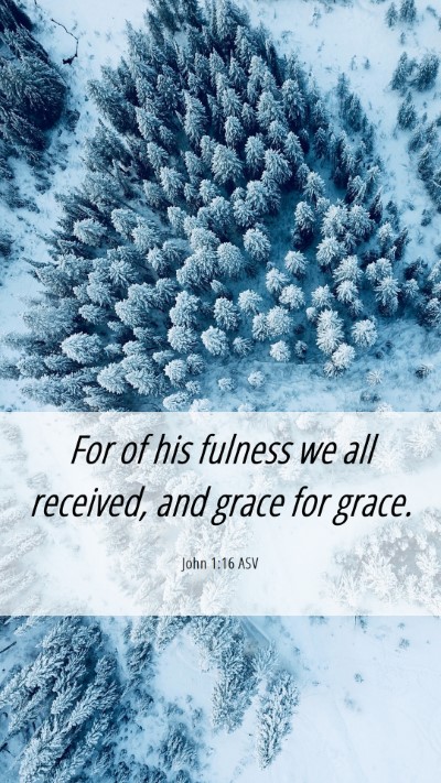 Picture 06 - John 1:16 ASV Mobile Phone Wallpaper - For of his fulness we all received, and grace for - Mobile Bible Verse Wallpaper
