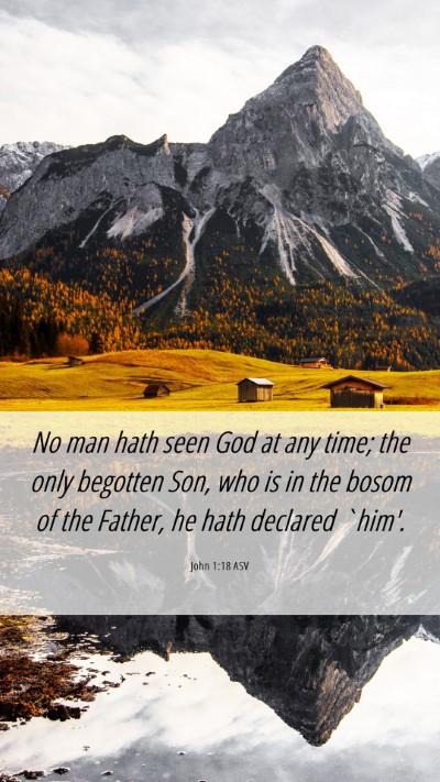 Picture 06 - John 1:18 ASV Mobile Phone Wallpaper - No man hath seen God at any time; the only - Mobile Bible Verse Wallpaper