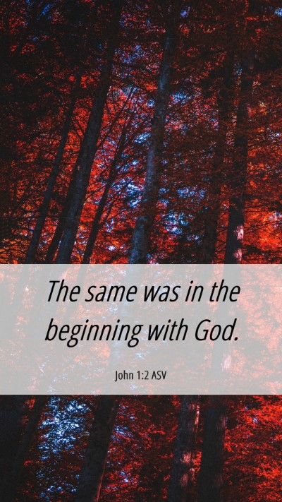 Picture 06 - John 1:2 ASV Mobile Phone Wallpaper - The same was in the beginning with - Mobile Bible Verse Wallpaper