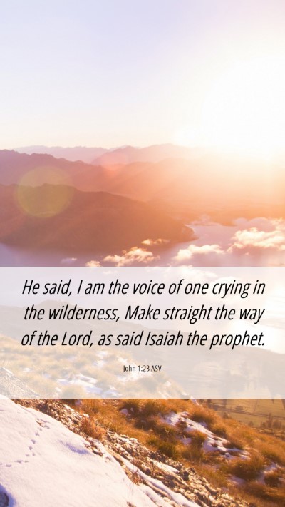 Picture 06 - John 1:23 ASV Mobile Phone Wallpaper - He said, I am the voice of one crying in the - Mobile Bible Verse Wallpaper