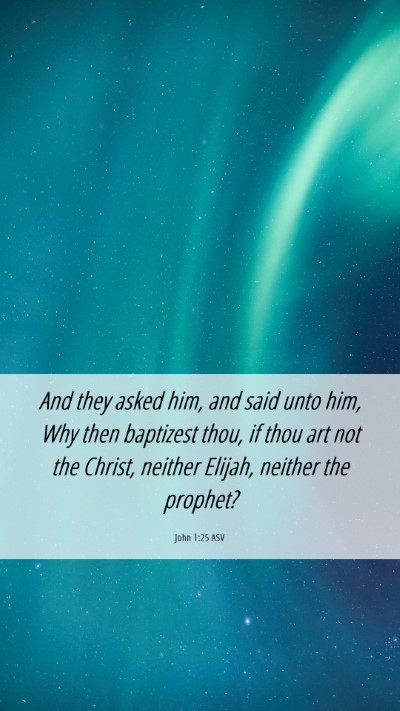 Picture 06 - John 1:25 ASV Mobile Phone Wallpaper - And they asked him, and said unto him, Why then - Mobile Bible Verse Wallpaper