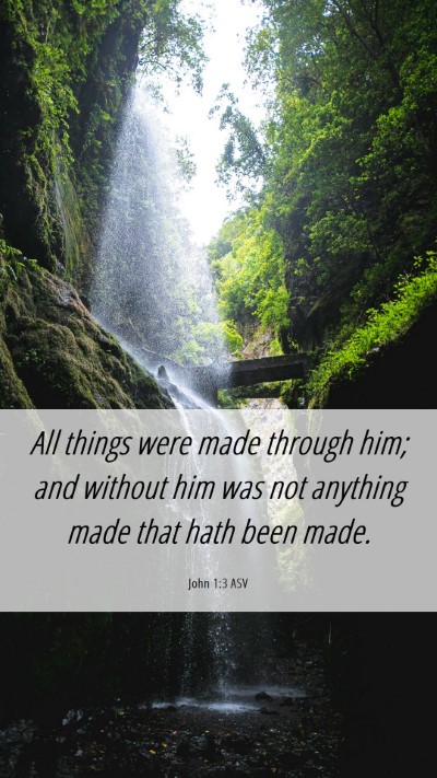Picture 06 - John 1:3 ASV Mobile Phone Wallpaper - All things were made through him; and without him - Mobile Bible Verse Wallpaper