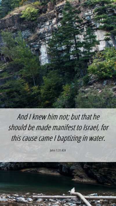 Picture 06 - John 1:31 ASV Mobile Phone Wallpaper - And I knew him not; but that he should be made - Mobile Bible Verse Wallpaper
