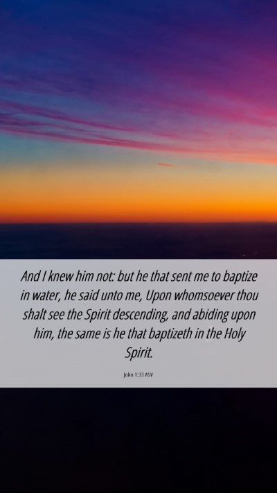 Picture 06 - John 1:33 ASV Mobile Phone Wallpaper - And I knew him not: but he that sent me to - Mobile Bible Verse Wallpaper