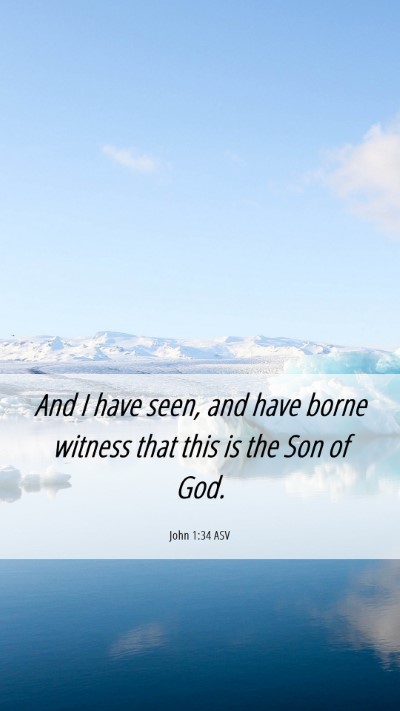 Picture 06 - John 1:34 ASV Mobile Phone Wallpaper - And I have seen, and have borne witness that this - Mobile Bible Verse Wallpaper