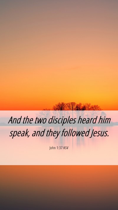 Picture 06 - John 1:37 ASV Mobile Phone Wallpaper - And the two disciples heard him speak, and they - Mobile Bible Verse Wallpaper