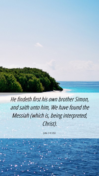 Picture 06 - John 1:41 ASV Mobile Phone Wallpaper - He findeth first his own brother Simon, and saith - Mobile Bible Verse Wallpaper