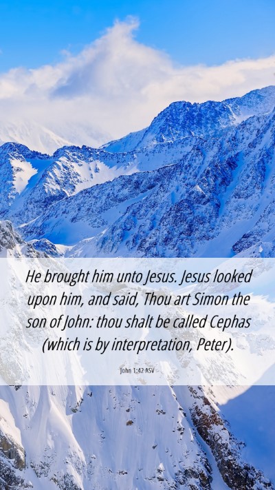 Picture 06 - John 1:42 ASV Mobile Phone Wallpaper - He brought him unto Jesus. Jesus looked upon him, - Mobile Bible Verse Wallpaper