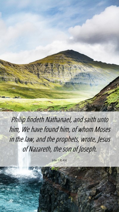 Picture 06 - John 1:45 ASV Mobile Phone Wallpaper - Philip findeth Nathanael, and saith unto him, We - Mobile Bible Verse Wallpaper