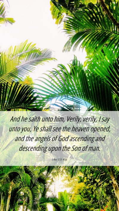 Picture 06 - John 1:51 ASV Mobile Phone Wallpaper - And he saith unto him, Verily, verily, I say unto - Mobile Bible Verse Wallpaper