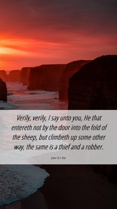 Picture 06 - John 10:1 ASV Mobile Phone Wallpaper - Verily, verily, I say unto you, He that entereth - Mobile Bible Verse Wallpaper