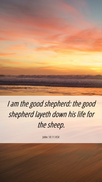 Picture 06 - John 10:11 ASV Mobile Phone Wallpaper - I am the good shepherd: the good shepherd layeth - Mobile Bible Verse Wallpaper