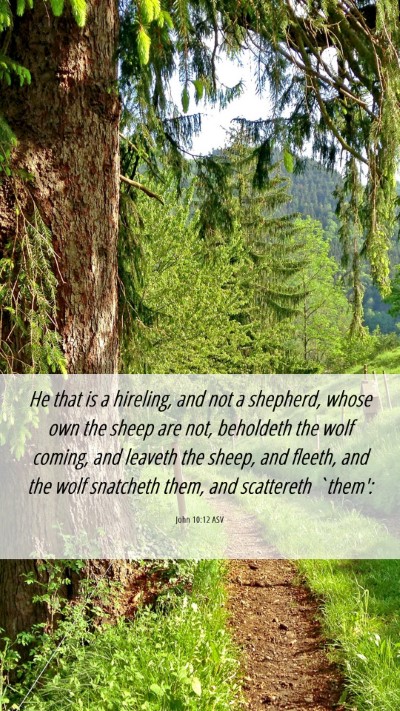 Picture 06 - John 10:12 ASV Mobile Phone Wallpaper - He that is a hireling, and not a shepherd, whose - Mobile Bible Verse Wallpaper
