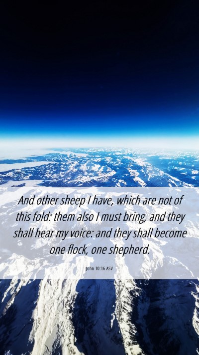 Picture 06 - John 10:16 ASV Mobile Phone Wallpaper - And other sheep I have, which are not of this - Mobile Bible Verse Wallpaper
