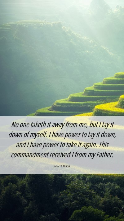 Picture 06 - John 10:18 ASV Mobile Phone Wallpaper - No one taketh it away from me, but I lay it down - Mobile Bible Verse Wallpaper