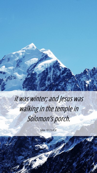 Picture 06 - John 10:23 ASV Mobile Phone Wallpaper - it was winter; and Jesus was walking in the - Mobile Bible Verse Wallpaper