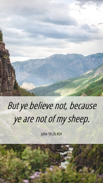 Picture 06 - John 10:26 ASV Mobile Phone Wallpaper - But ye believe not, because ye are not of my - Mobile Bible Verse Wallpaper