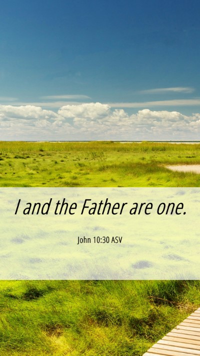 Picture 06 - John 10:30 ASV Mobile Phone Wallpaper - I and the Father are - Mobile Bible Verse Wallpaper