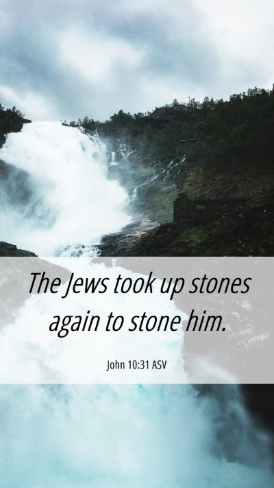 Picture 06 - John 10:31 ASV Mobile Phone Wallpaper - The Jews took up stones again to stone - Mobile Bible Verse Wallpaper