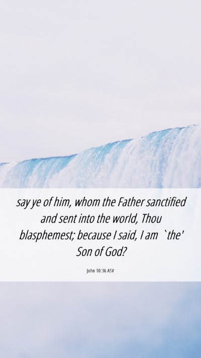 Picture 06 - John 10:36 ASV Mobile Phone Wallpaper - say ye of him, whom the Father sanctified and - Mobile Bible Verse Wallpaper