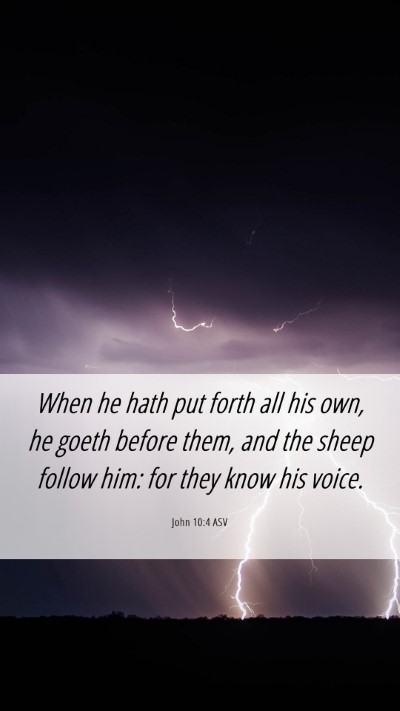 Picture 06 - John 10:4 ASV Mobile Phone Wallpaper - When he hath put forth all his own, he goeth - Mobile Bible Verse Wallpaper