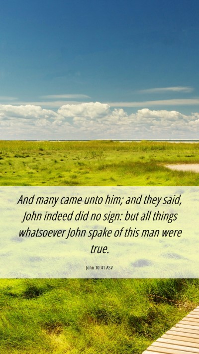 Picture 06 - John 10:41 ASV Mobile Phone Wallpaper - And many came unto him; and they said, John - Mobile Bible Verse Wallpaper
