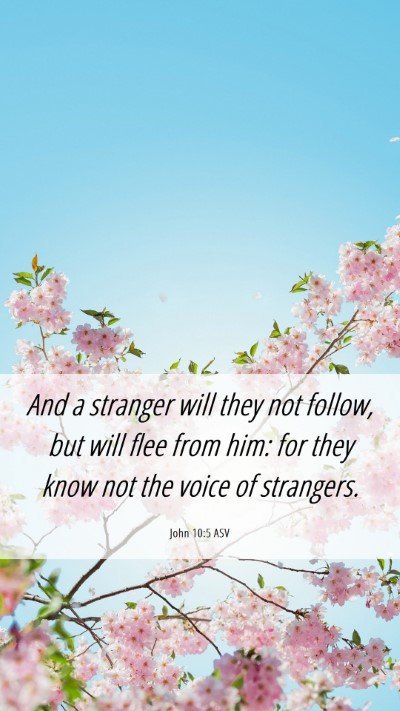 Picture 06 - John 10:5 ASV Mobile Phone Wallpaper - And a stranger will they not follow, but will - Mobile Bible Verse Wallpaper