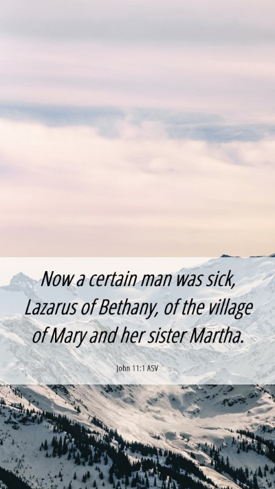 Picture 06 - John 11:1 ASV Mobile Phone Wallpaper - Now a certain man was sick, Lazarus of Bethany, - Mobile Bible Verse Wallpaper