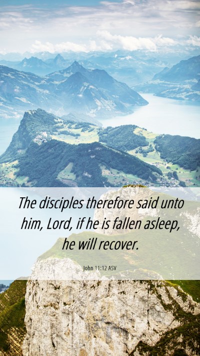 Picture 06 - John 11:12 ASV Mobile Phone Wallpaper - The disciples therefore said unto him, Lord, if - Mobile Bible Verse Wallpaper
