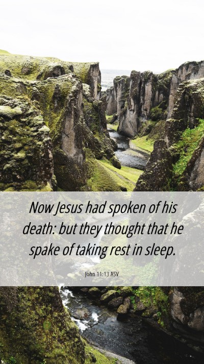 Picture 06 - John 11:13 ASV Mobile Phone Wallpaper - Now Jesus had spoken of his death: but they - Mobile Bible Verse Wallpaper