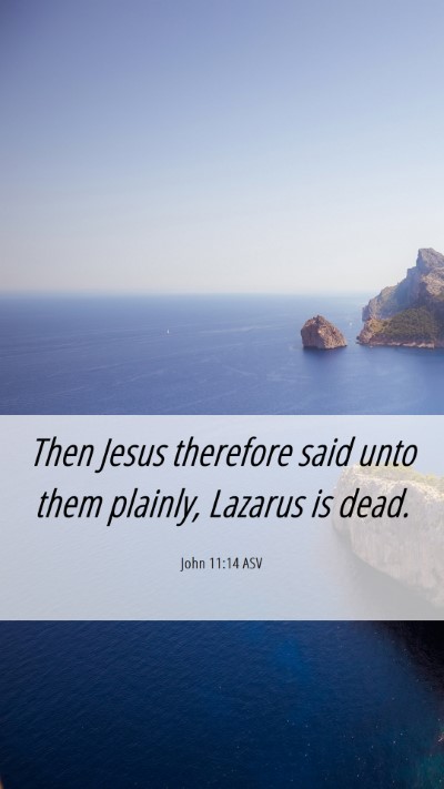 Picture 06 - John 11:14 ASV Mobile Phone Wallpaper - Then Jesus therefore said unto them plainly, - Mobile Bible Verse Wallpaper