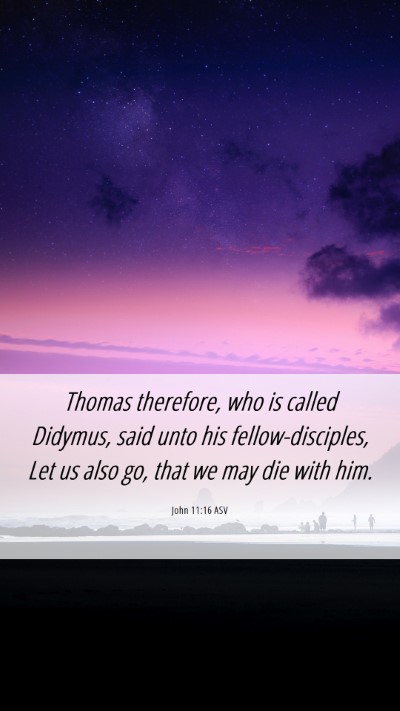 Picture 06 - John 11:16 ASV Mobile Phone Wallpaper - Thomas therefore, who is called Didymus, said - Mobile Bible Verse Wallpaper