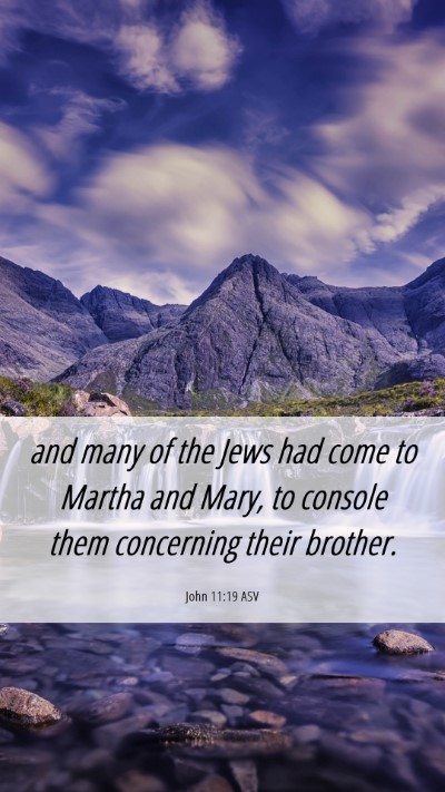 Picture 06 - John 11:19 ASV Mobile Phone Wallpaper - and many of the Jews had come to Martha and Mary, - Mobile Bible Verse Wallpaper
