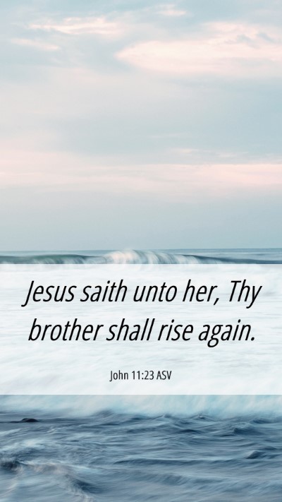 Picture 06 - John 11:23 ASV Mobile Phone Wallpaper - Jesus saith unto her, Thy brother shall rise - Mobile Bible Verse Wallpaper