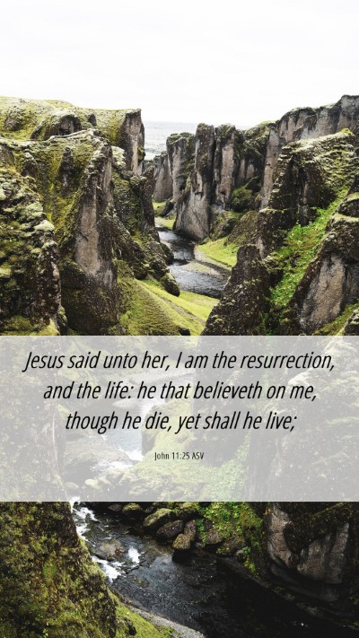 Picture 06 - John 11:25 ASV Mobile Phone Wallpaper - Jesus said unto her, I am the resurrection, and - Mobile Bible Verse Wallpaper