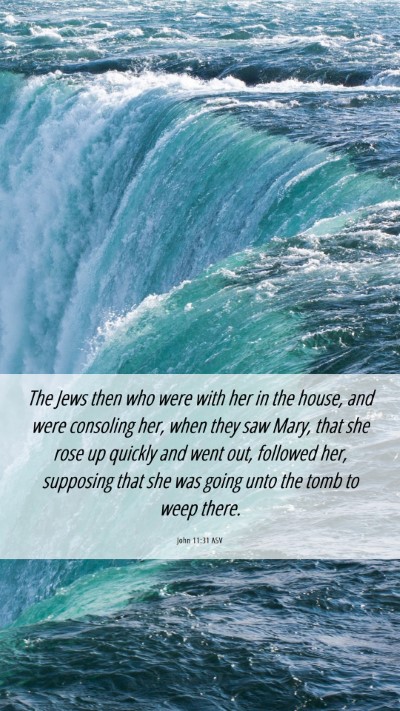 Picture 06 - John 11:31 ASV Mobile Phone Wallpaper - The Jews then who were with her in the house, and - Mobile Bible Verse Wallpaper