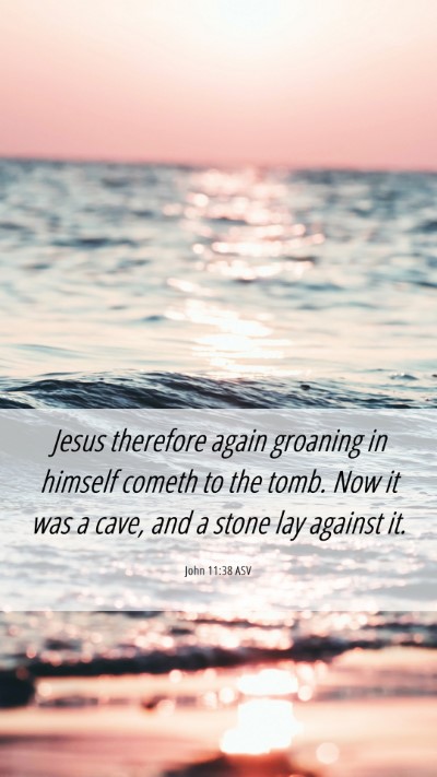Picture 06 - John 11:38 ASV Mobile Phone Wallpaper - Jesus therefore again groaning in himself cometh - Mobile Bible Verse Wallpaper