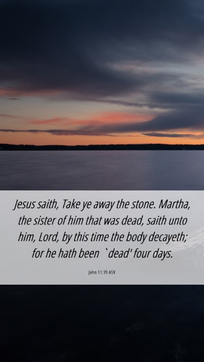 Picture 06 - John 11:39 ASV Mobile Phone Wallpaper - Jesus saith, Take ye away the stone. Martha, the - Mobile Bible Verse Wallpaper