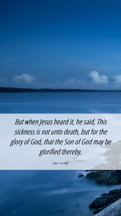 Picture 06 - John 11:4 ASV Mobile Phone Wallpaper - But when Jesus heard it, he said, This sickness - Mobile Bible Verse Wallpaper