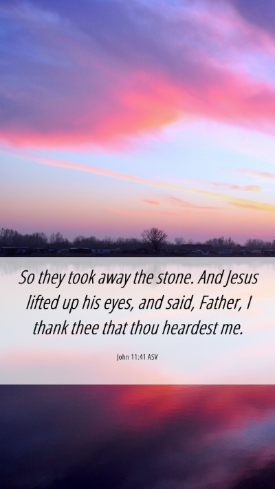 Picture 06 - John 11:41 ASV Mobile Phone Wallpaper - So they took away the stone. And Jesus lifted up - Mobile Bible Verse Wallpaper