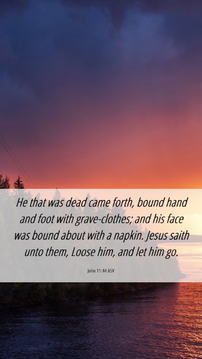 Picture 06 - John 11:44 ASV Mobile Phone Wallpaper - He that was dead came forth, bound hand and foot - Mobile Bible Verse Wallpaper