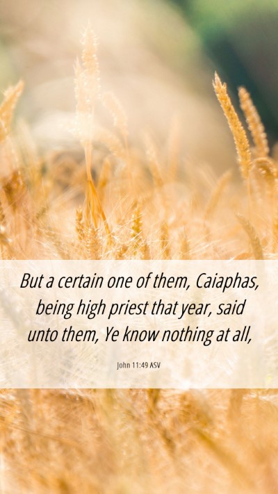Picture 06 - John 11:49 ASV Mobile Phone Wallpaper - But a certain one of them, Caiaphas, being high - Mobile Bible Verse Wallpaper