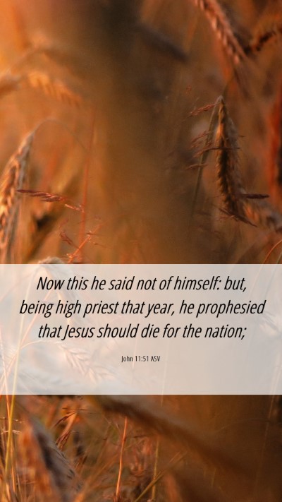 Picture 06 - John 11:51 ASV Mobile Phone Wallpaper - Now this he said not of himself: but, being high - Mobile Bible Verse Wallpaper