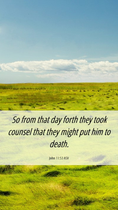 Picture 06 - John 11:53 ASV Mobile Phone Wallpaper - So from that day forth they took counsel that - Mobile Bible Verse Wallpaper