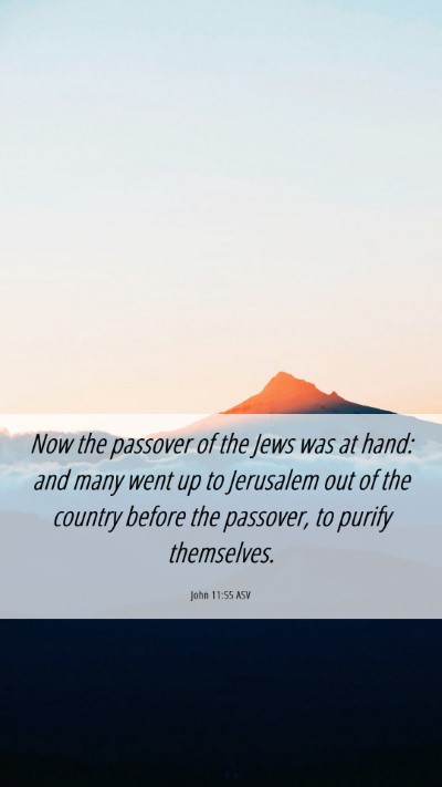 Picture 06 - John 11:55 ASV Mobile Phone Wallpaper - Now the passover of the Jews was at hand: and - Mobile Bible Verse Wallpaper