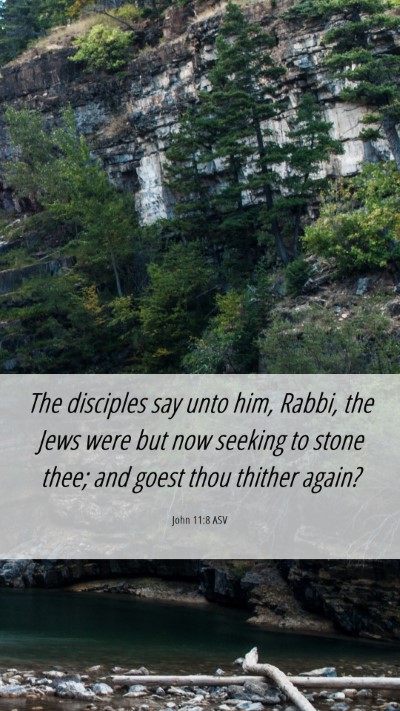 Picture 06 - John 11:8 ASV Mobile Phone Wallpaper - The disciples say unto him, Rabbi, the Jews were - Mobile Bible Verse Wallpaper