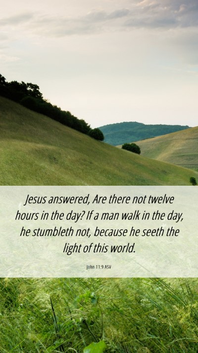 Picture 06 - John 11:9 ASV Mobile Phone Wallpaper - Jesus answered, Are there not twelve hours in the - Mobile Bible Verse Wallpaper