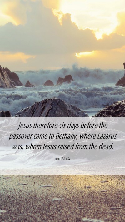 Picture 06 - John 12:1 ASV Mobile Phone Wallpaper - Jesus therefore six days before the passover came - Mobile Bible Verse Wallpaper