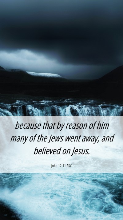 Picture 06 - John 12:11 ASV Mobile Phone Wallpaper - because that by reason of him many of the Jews - Mobile Bible Verse Wallpaper