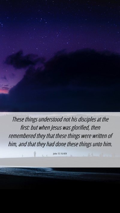 Picture 06 - John 12:16 ASV Mobile Phone Wallpaper - These things understood not his disciples at the - Mobile Bible Verse Wallpaper